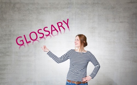 To gain knowledge about important (political) terms and the EU institutions, their functioning as well as the ESIF, visit this site.